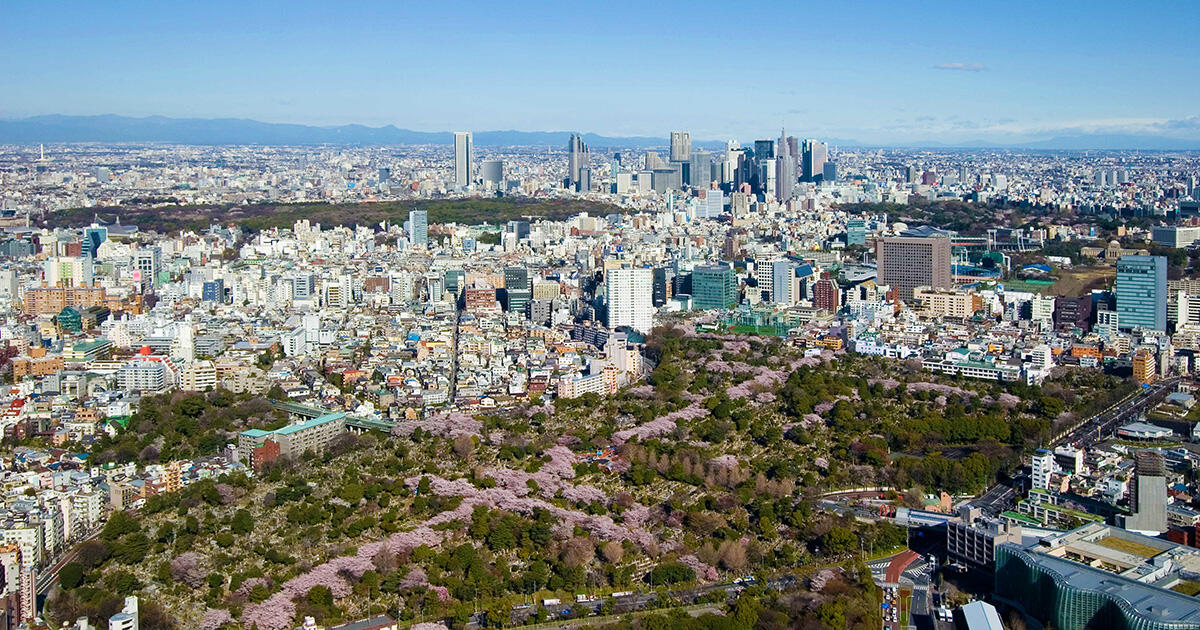 ogp_ohanami.jpg