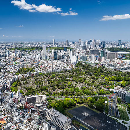 東京シティビュー - TOKYO CITY VIEW