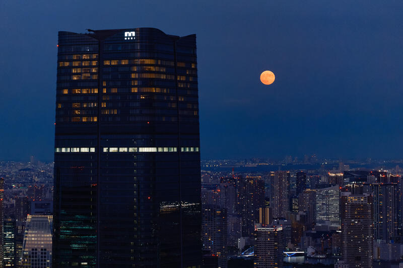 『チ。 ―地球の運動について―』×東京シティビュー 開催記念
六本木天文クラブ~観月の夕べ「月を愛でる会」~