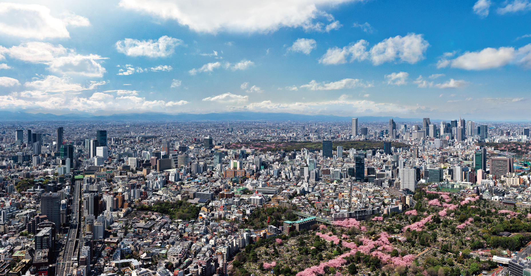 天空のお花見19 展望台から見下ろすお花見体験を 着物でお越しいただくと割引も 東京シティビュー Tokyo City View