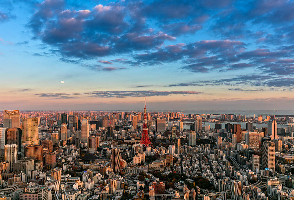 Photo Gallery | Tokyo City View